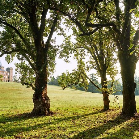 Chateau De Sibra Lagarde  外观 照片