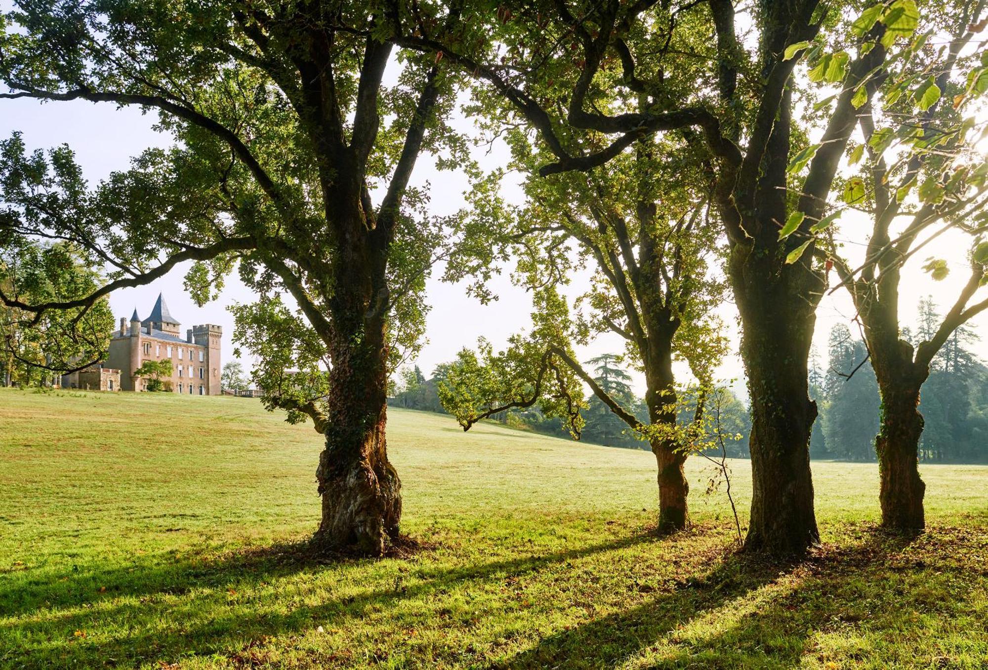 Chateau De Sibra Lagarde  外观 照片